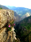 Wyna Picchu_5